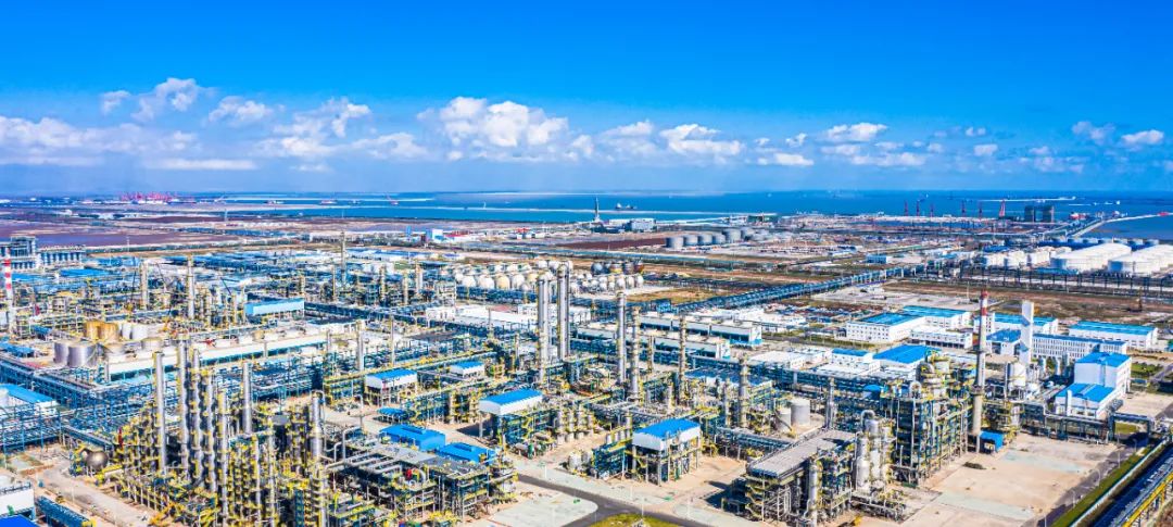 1647235076695683.jpeg 1647235076695683.jpeg