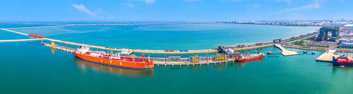 1744784203316903.jpg 1200x320盛虹港儲.jpg